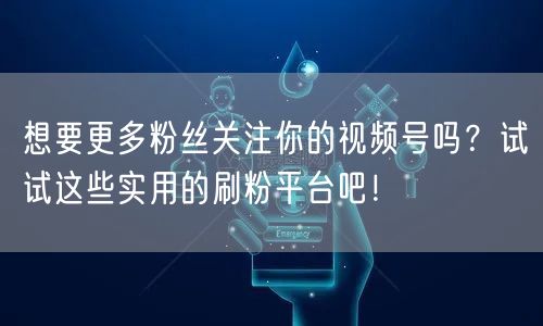 想要更多粉丝关注你的视频号吗？试试这些实用的刷粉平台吧！