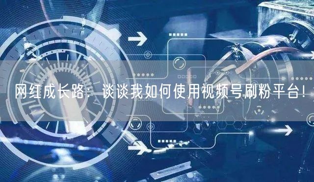 网红成长路：谈谈我如何使用视频号刷粉平台！