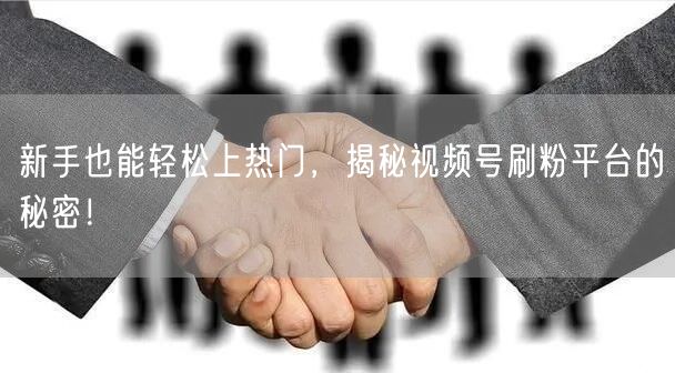 新手也能轻松上热门，揭秘视频号刷粉平台的秘密！