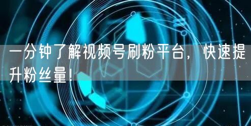 一分钟了解视频号刷粉平台，快速提升粉丝量！