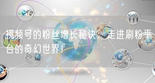 视频号的粉丝增长秘诀：走进刷粉平台的奇幻世界！
