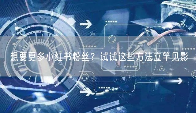 想要更多小红书粉丝？试试这些方法立竿见影