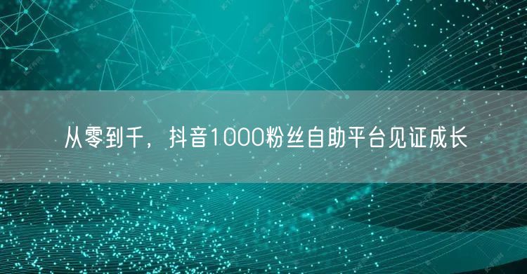 从零到千，抖音1000粉丝自助平台见证成长