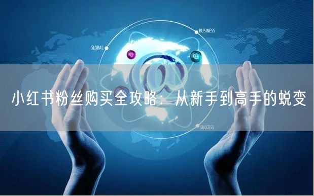 小红书粉丝购买全攻略：从新手到高手的蜕变