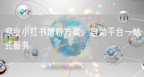 专业小红书增粉方案，自助平台一站式服务