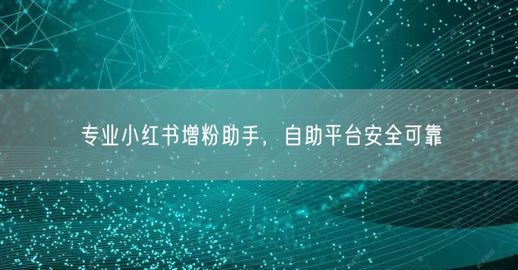 专业小红书增粉助手，自助平台安全可靠