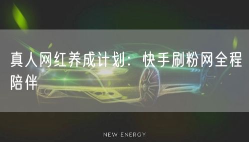 真人网红养成计划：快手刷粉网全程陪伴
