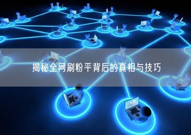 揭秘全网刷粉平背后的真相与技巧