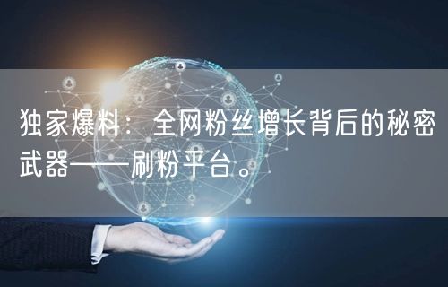 独家爆料：全网粉丝增长背后的秘密武器——刷粉平台。