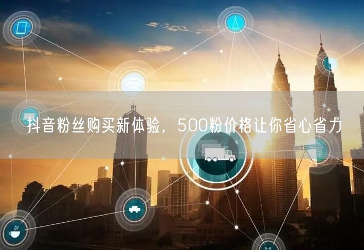 抖音粉丝购买新体验，500粉价格让你省心省力